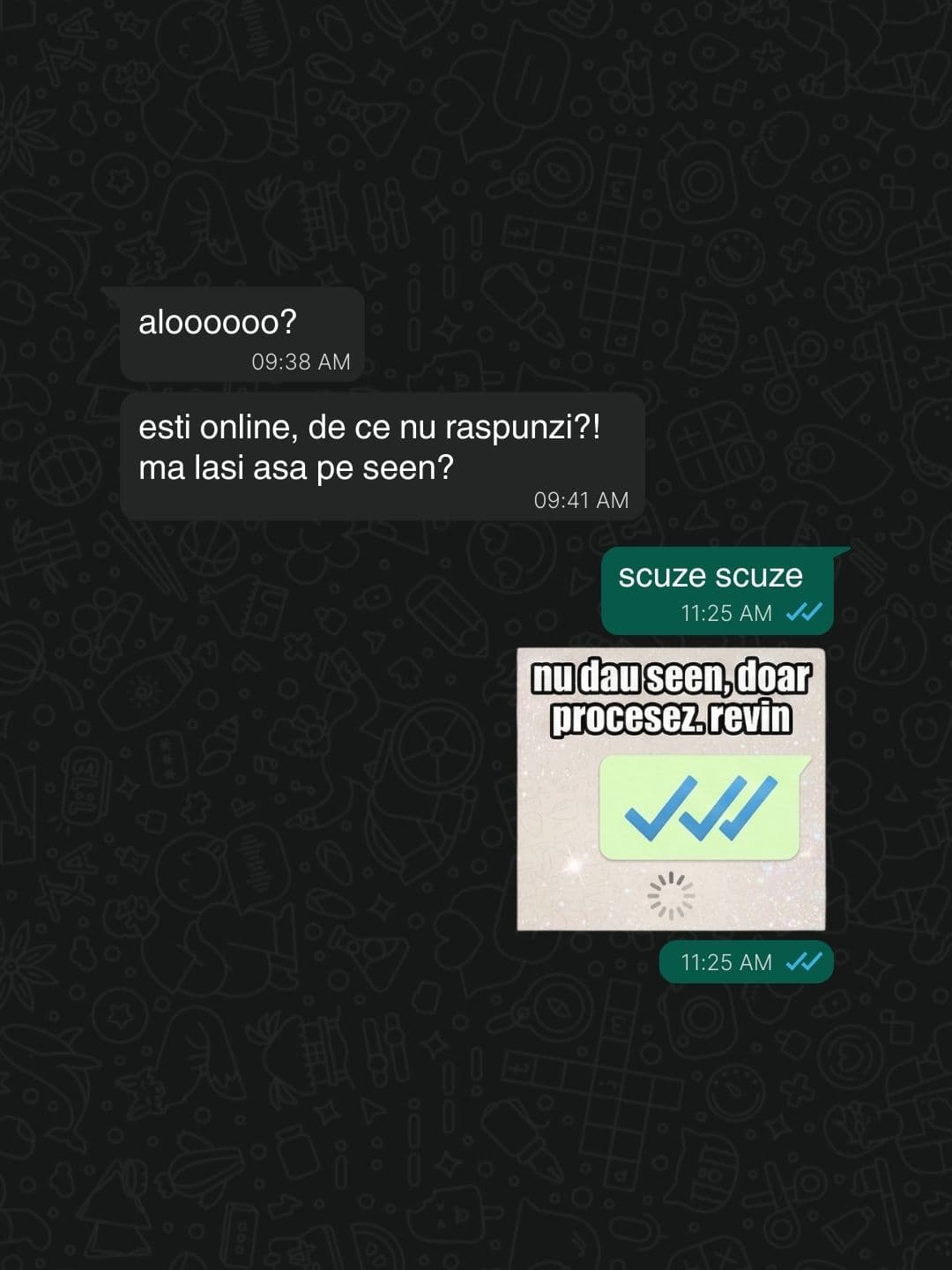 conversație whatsapp cu sticker "nu dau seen, doar procesez. revin" și tick-uri albastre